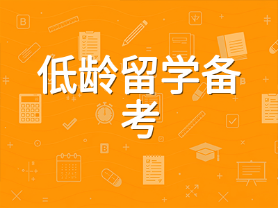 AEAS数学推理模块被低估的丢分雷区：英文数学术语与逻辑题型的应对策略