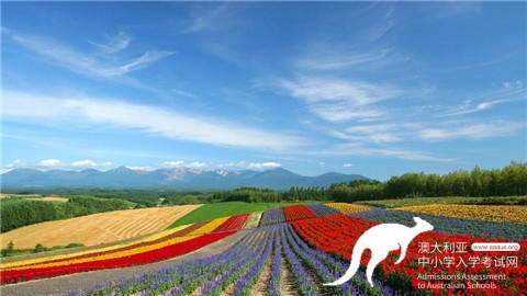 AEAS考试,认可学校,AEAS成绩